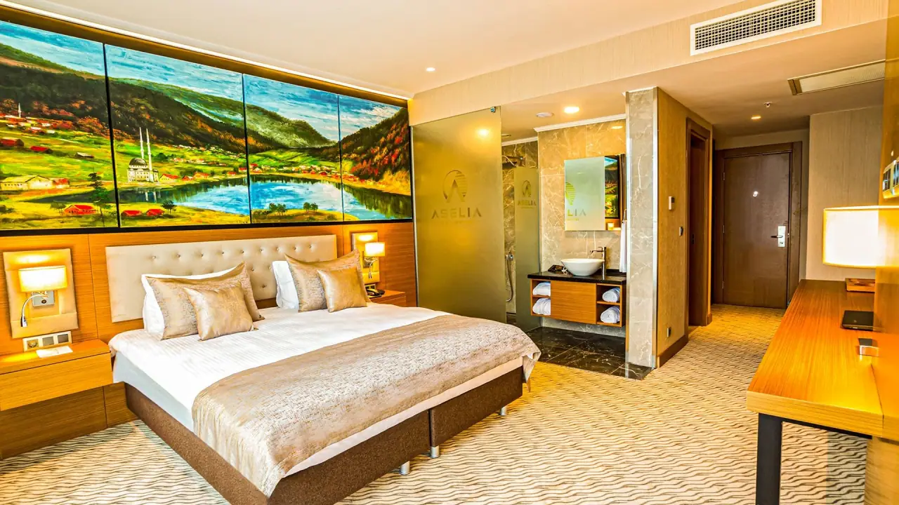 Aselia hotel